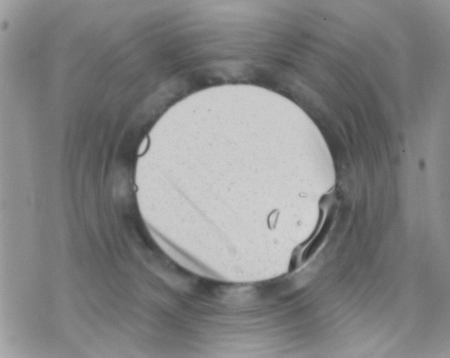 X0000073740132200608311920