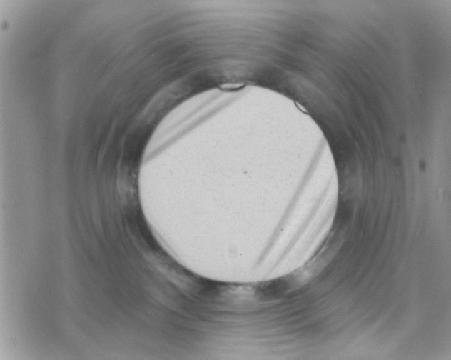 X0000073740140200608311919