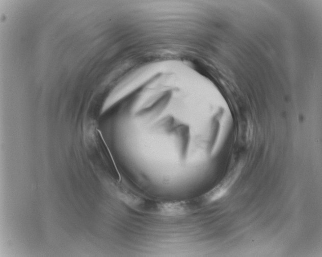 X0000073740141200608311919