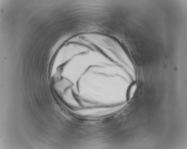 X0000073740147200608311919