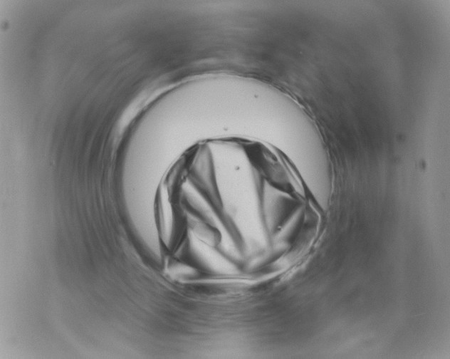 X0000073740150200608311919