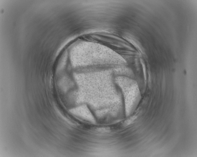 X0000073740156200608311919