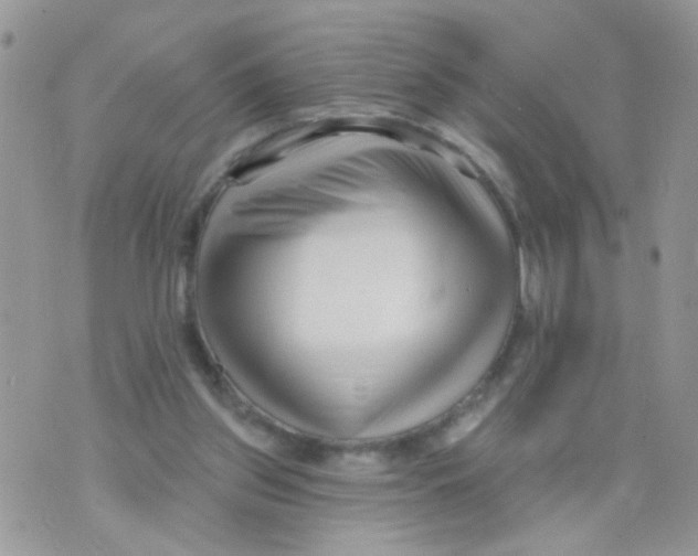 X0000073740157200608311919