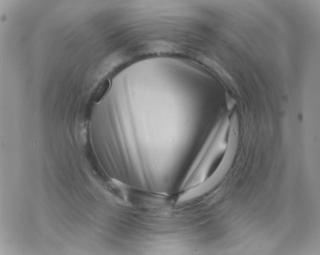 X0000073740160200608311919