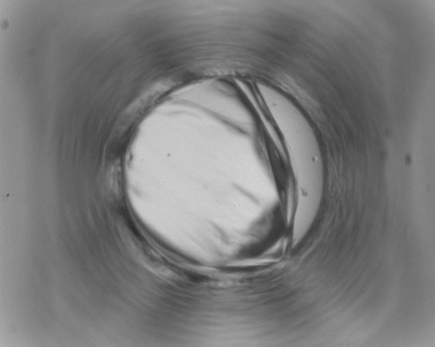 X0000073740165200608311919
