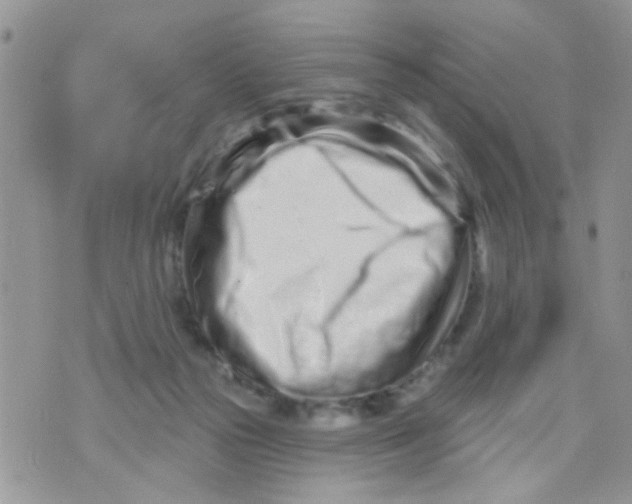 X0000073740169200608311919