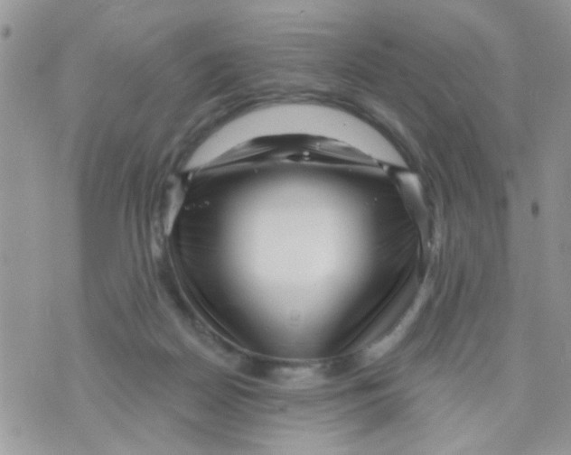 X0000073740170200608311919