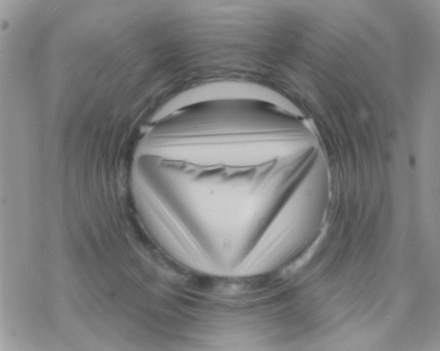 X0000073740174200608311919