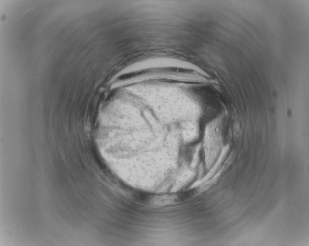 X0000073740179200608311919