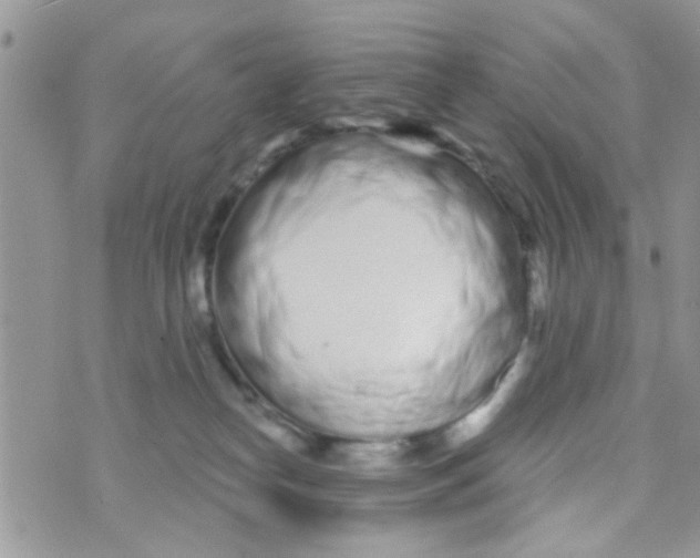 X0000073740182200608311919