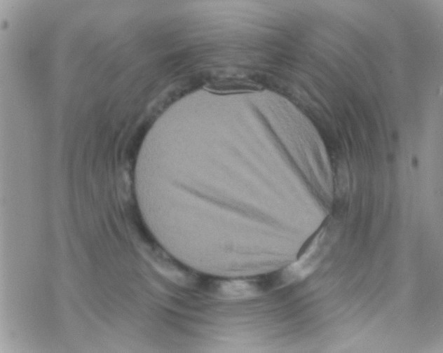 X0000073740183200608311919