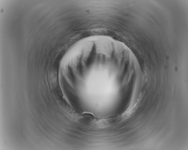 X0000073740186200608311919