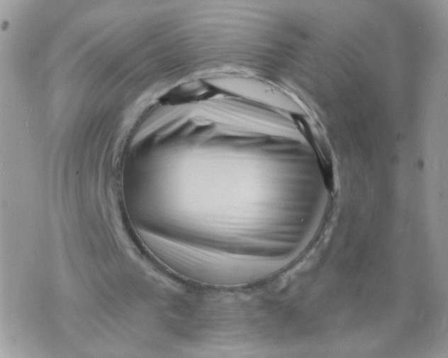 X0000073740193200608311919