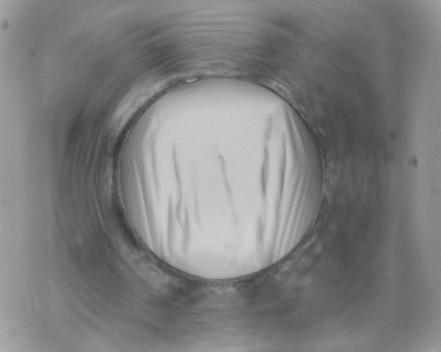 X0000073740194200608311919