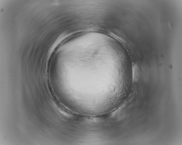 X0000073740195200608311919