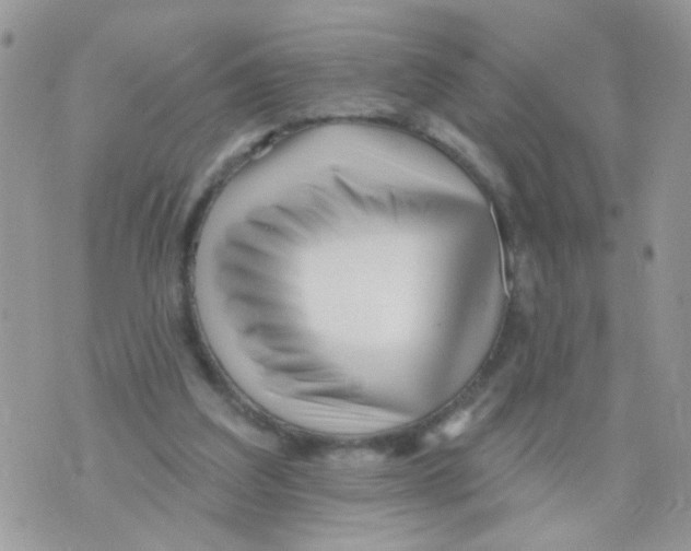 X0000073740203200608311918