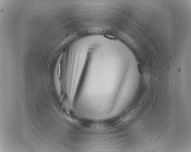 X0000073740211200608311918