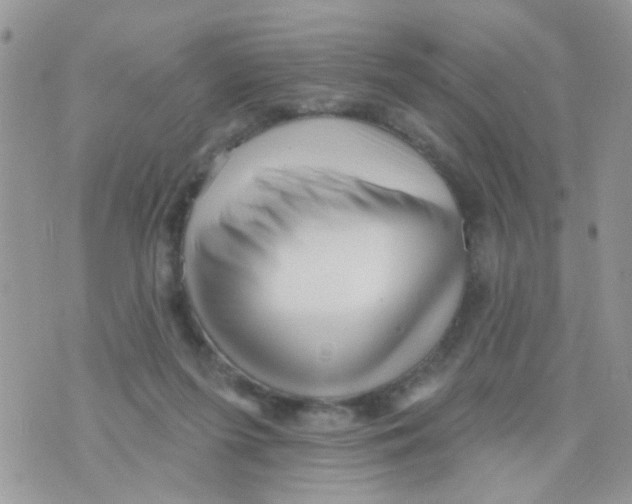 X0000073740215200608311918
