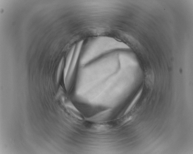 X0000073740221200608311918