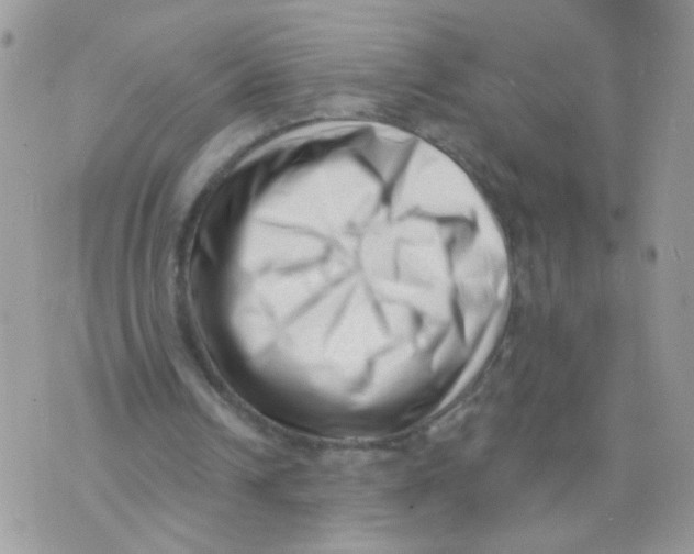 X0000073740242200608311917