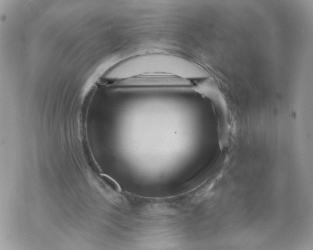 X0000073740244200608311917