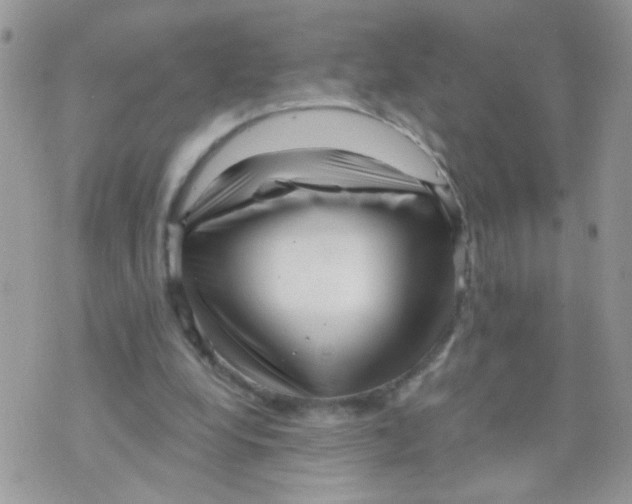 X0000073740248200608311917