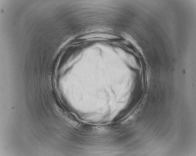 X0000073740249200608311917