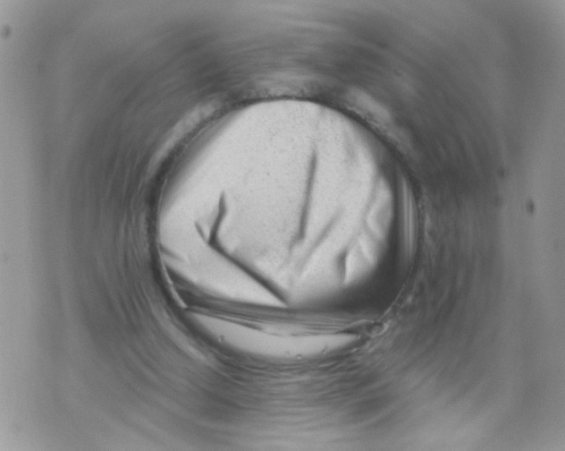 X0000073740250200608311917