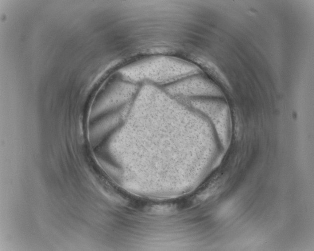 X0000073740251200608311917