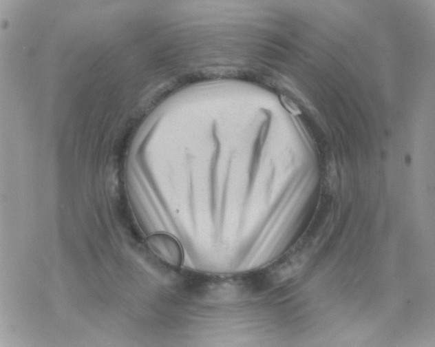 X0000073740259200608311917