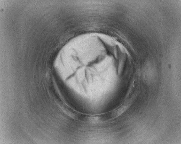 X0000073740265200608311917