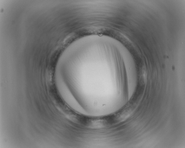 X0000073740268200608311917