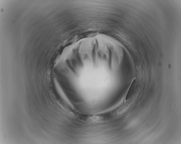 X0000073740269200608311917