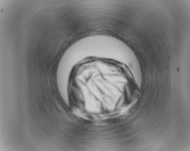 X0000073740272200608311918