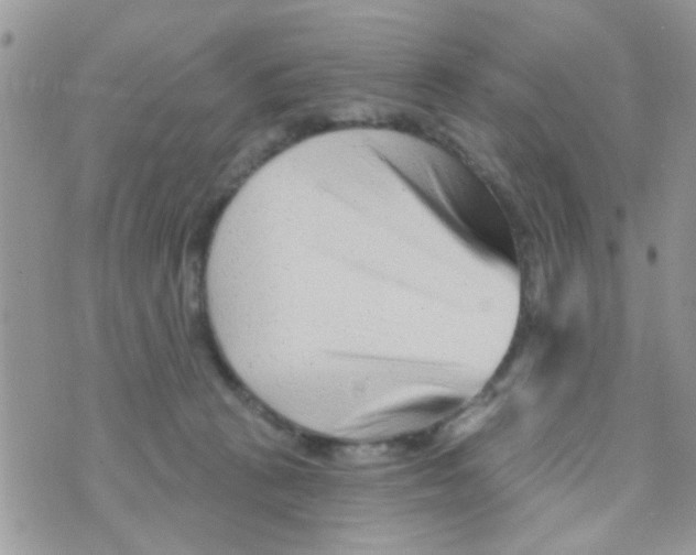 X0000073740273200608311918
