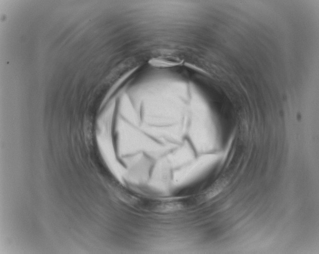 X0000073740274200608311918