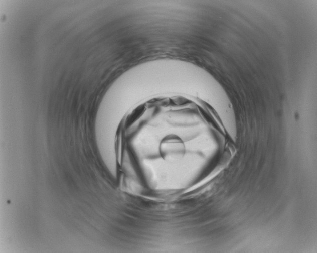 X0000073740276200608311918