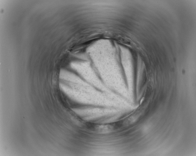 X0000073740277200608311918