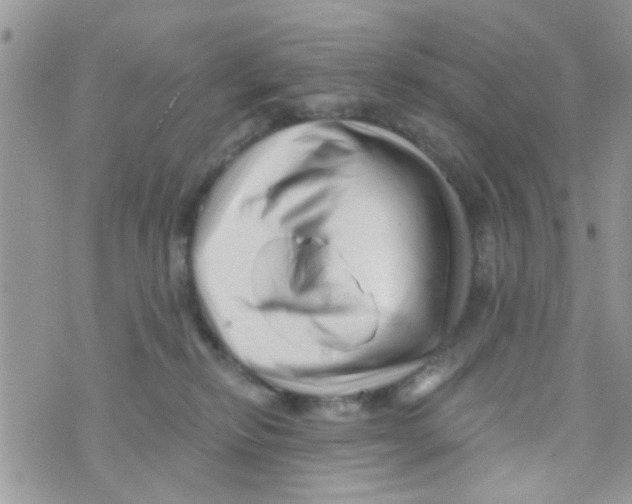 X0000073740278200608311918