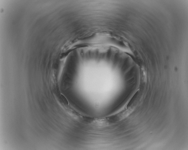 X0000073740280200608311918