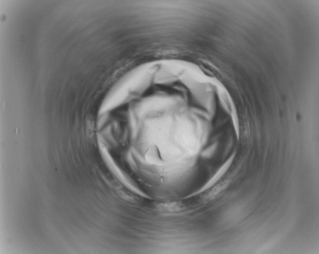 X0000073740281200608311918