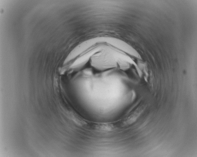 X0000073740282200608311918