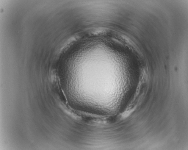 X0000073740284200608311918