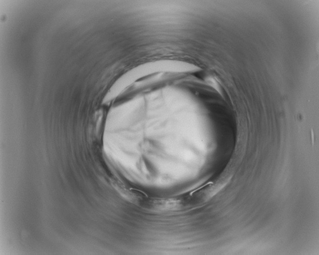 X0000073740288200608311918