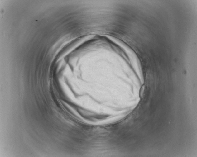 X0000073740290200608311917