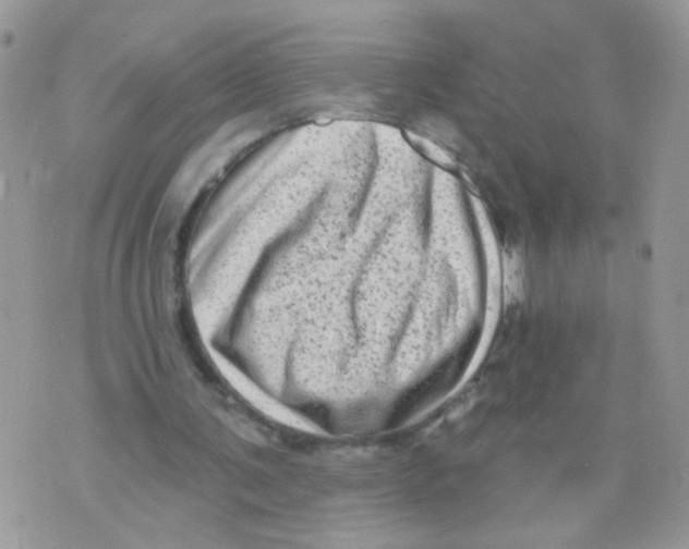 X0000073740291200608311917