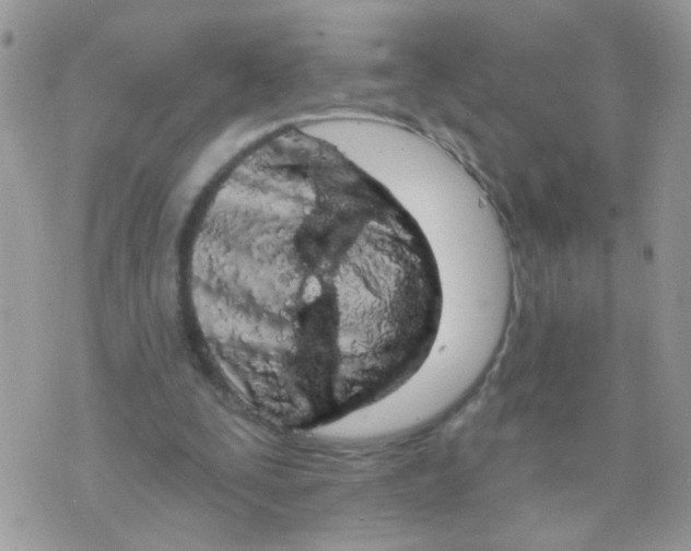 X0000073740295200608311917