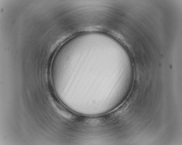 X0000073740299200608311917