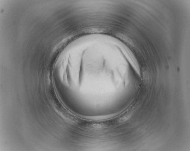 X0000073740302200608311917