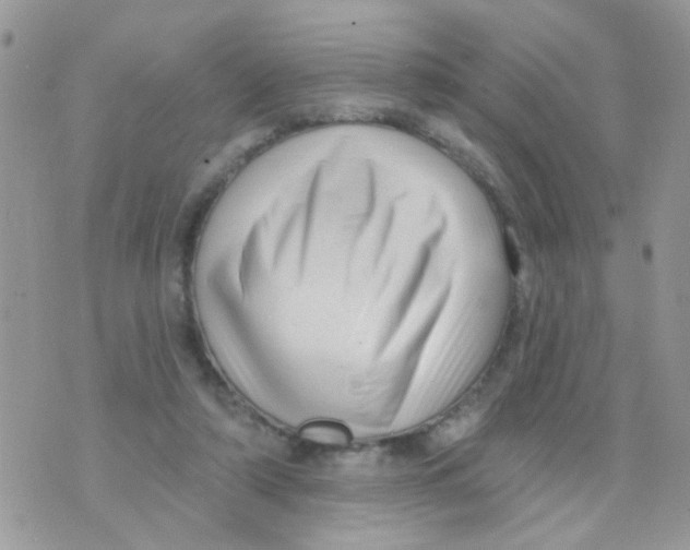 X0000073740306200608311917